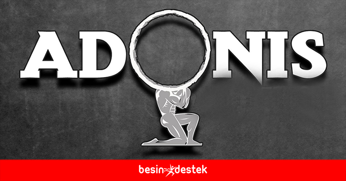 Adonis Kas Geliştirme